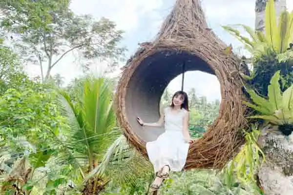 swing ubud tour